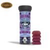 Lost Farm | Black Raspberry | Live Resin CBN Strain-Specific Gummies 100mg