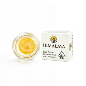 Himalaya | Rainbow Burger | Live Resin Terp Sauce 1g
