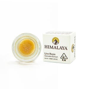 Himalaya 1g Guava Drops | Live Resin Terp Sauce |
