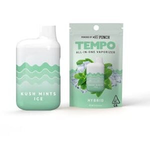 Tempo | Kush Mintz | All-In-One Rechargeable Vape 1g