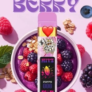 2G Acai Berry Hitz Disposable