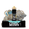 PLUGplay | King Louie DNA Pod 1g