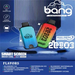 Bang 20000 Puffs Disposable Vape – Dual Mesh Coil, Smart Screen, 25ml E-liquid, Type-C Rechargeable