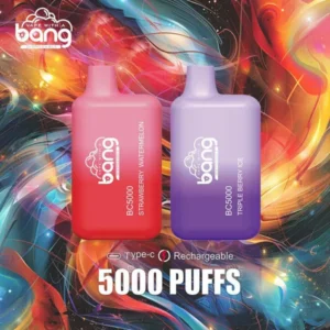 Bang BC5000 5000 Puffs Disposable Vape – 20 Flavors, Mesh Coil, 13ml E-liquid, Type-C Rechargeable