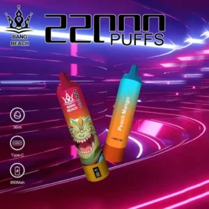 Bang Beach 22000 Puffs Disposable Vape – 36ml, Mesh Coil, Type-C, 12 Flavors