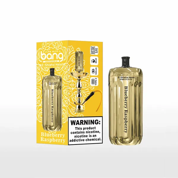 Bang-E-Shisha-Head-42000-Puffs-Disposable-Vape-blueberry-raspberry.webp