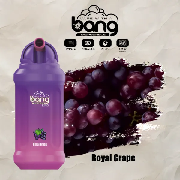 Bang-King-12000-Puffs-Disposable-Vape-Pen-20-Flavors-0-2-3-5-Nicotine-Royal-Grape.webp