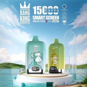 Bang King 15000 Puffs Smart Screen Disposable Vape Pen 10 Flavors 0% 2% 3% 5% Nicotine