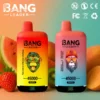 Bang Leader 45000 Puffs Dual Flavors Disposable Vape – Ultimate Long-Lasting Device