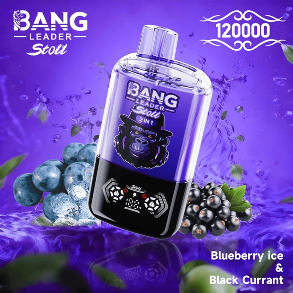 Bang-Leader-Stoll-120K-blueberry-ice-black-currant.webp