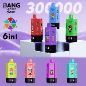 Bang Leader Stoll 300K 6-in-1 Disposable Vape – Amazing 300,000 Puffs Power Flavor System