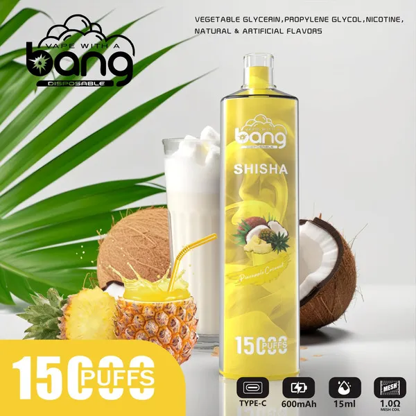 Bang-Shisha-15000-Puffs-Disposable-Vape-Pen-20-Flavors-0-2-3-5-Nicotine-4.webp