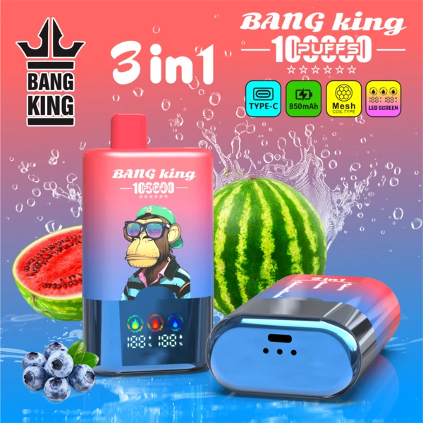 BangVapeEu-Bang-King-100K-Puffs-Disposable-Vape-Blueberries-Watermelon-Blueberries-And-Watermelon.webp