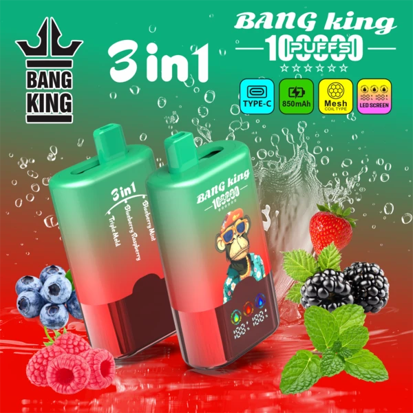 BangVapeEu-Bang-King-100K-Puffs-Disposable-Vape-Blueberry-Mint-Blueberry-Raspberry-Triple-Melon.webp