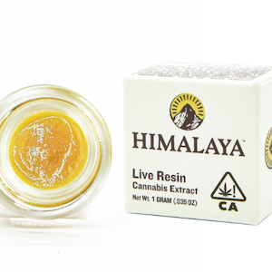 Himalaya | Chemdawg 1g Live Resin Terp Sugar |