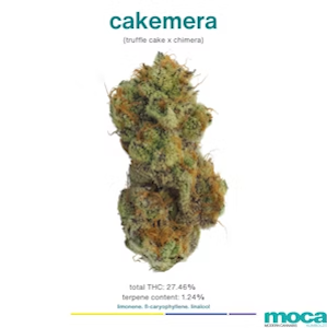 MOCA | Cakemera | Indoor Flower 8oz