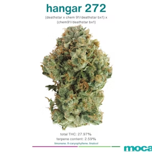 MOCA Hangar 272 | Indoor Flower | 1/8oz