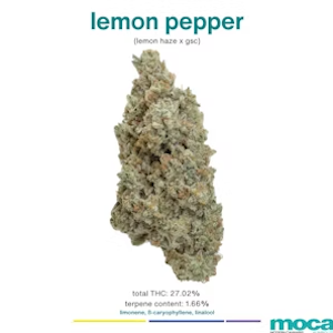 MOCA | Lemon Pepper | Indoor Flower 1/8oz