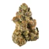OREO MINTZ STRAIN 12