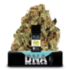 PLUGplay | Super Lemon HazeDNA Pod 1g