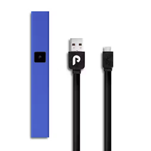 PLUGplay Blue Steel Battery 3