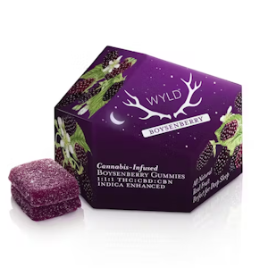 WYLD 100mg Boysenberry 1:1:1 | THC:CBD:CBN | Gummies |
