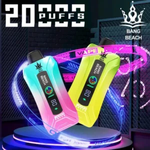 Bang Beach 20000 Puffs Disposable Vape – 35ml, 1.0Ω Mesh, Adjustable Airflow, Type-C Rechargeable