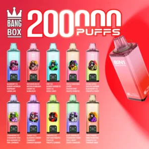 Bang Box 200K 8-in-1 Flavors Disposable Vape | 200,000 Puffs – Ultimate Flavor Power