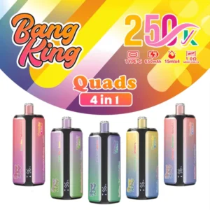 Bang King 250K 4-in-1 Flavors Disposable Vape | 250,000 Puffs – Best Ultimate Flavor Power