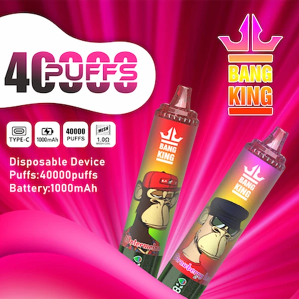 bang-king-40k-main-picture.webp Bang King 40K Tornado Disposable Vape | 40,000 Puffs – Powerful Dual Mesh Performance