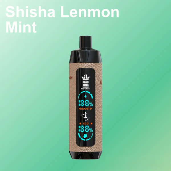 bang-king-shisha-25k-puffs-shisha-lenmon-mint.webp