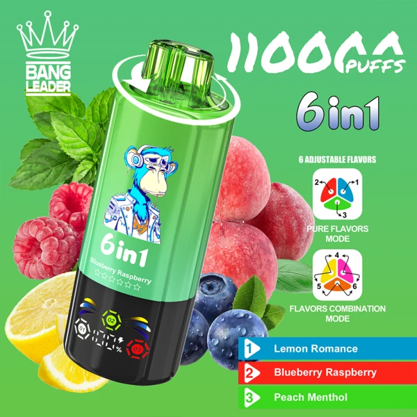 bang-leader-110k-lemon-romance-blueberry-raspberry-peach-menthol.webp