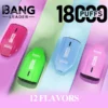 Bang Leader 18K Disposable Vape | 18,000 Puffs – Powerful Mesh Coil Flavor