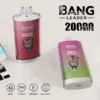 Bang Leader 20000 Puffs Disposable Vape – Advanced Dual-Mesh Edition