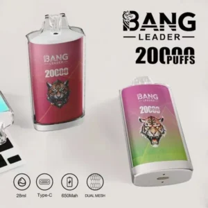 Bang Leader 20000 Puffs Disposable Vape – Advanced Dual-Mesh Edition