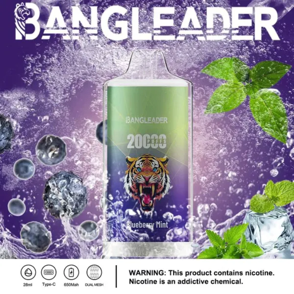 bang-leader-20k-disposable-vape-20000-puffs-of-flavor-blueberry-mint.webp