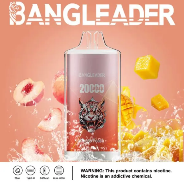 bang-leader-20k-disposable-vape-20000-puffs-of-flavor-mango-peach.webp