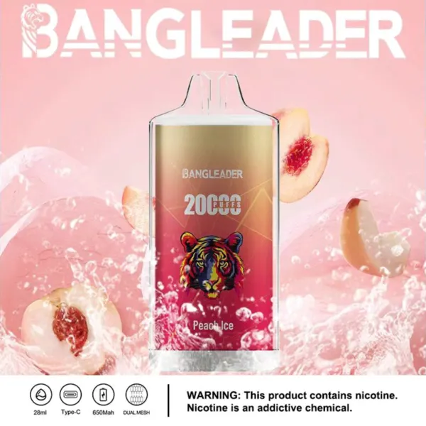 bang-leader-20k-disposable-vape-20000-puffs-of-flavor-peach-ice.webp