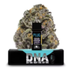 PLUGplay | Sugar Daddy Purple DNA Pod 1g