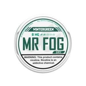 Mr Fog Moist Nicotine 3g Pouches Wintergreen