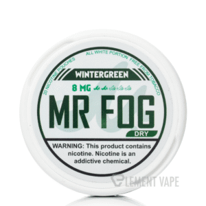 Mr Fog DRY Nicotine 3g Pouches Wintergreen